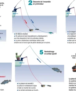 CANNON Pince Offshore Release