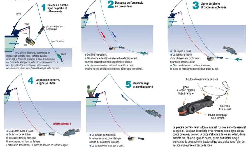 CANNON Pince Offshore Release