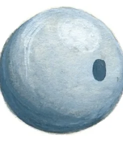 LEMER Plombs balles rondes percées vrac