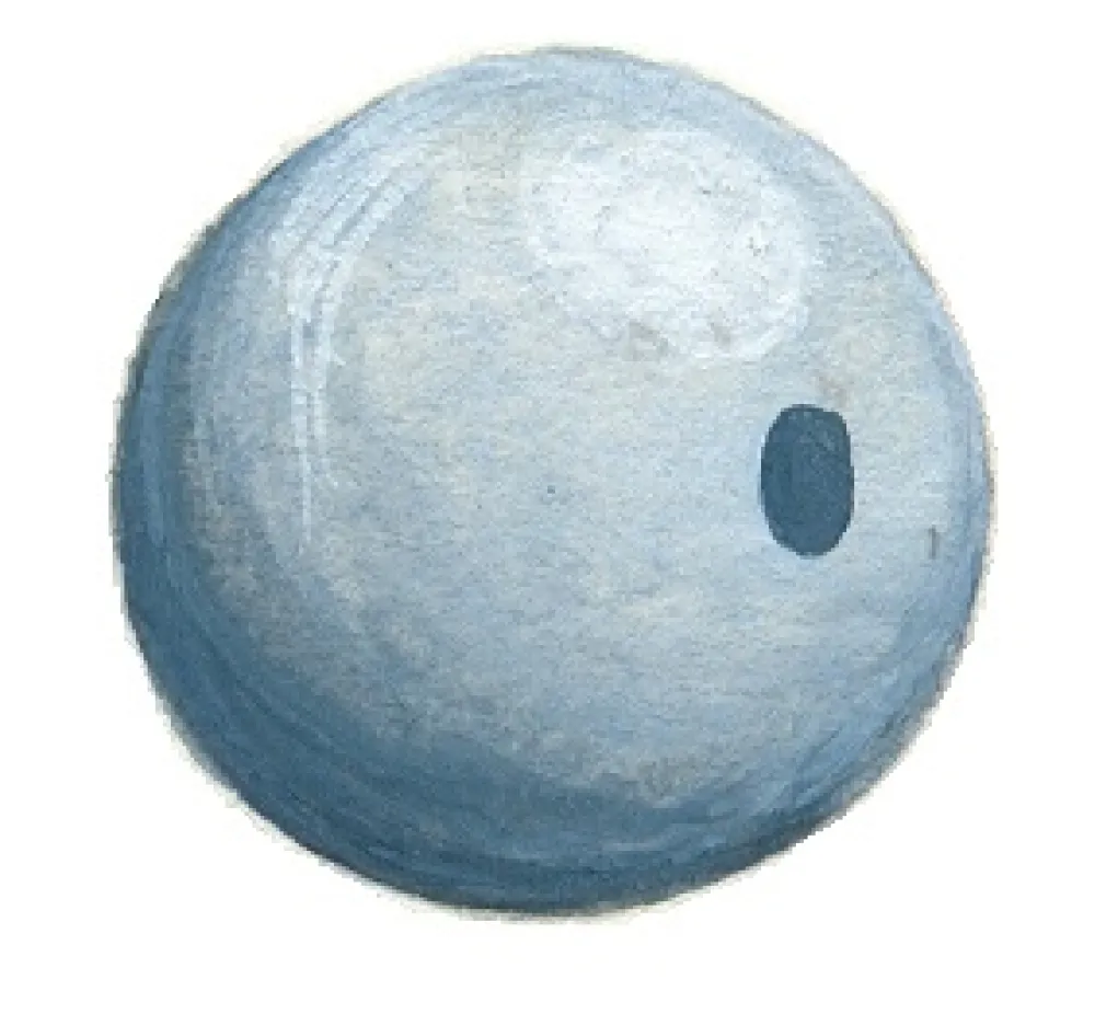 LEMER Plombs balles rondes percées vrac
