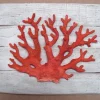 CAP VERT Sculpture Corail sur Cadre