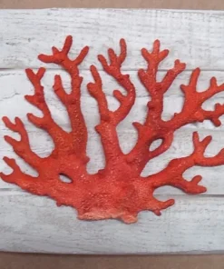 CAP VERT Sculpture Corail sur Cadre