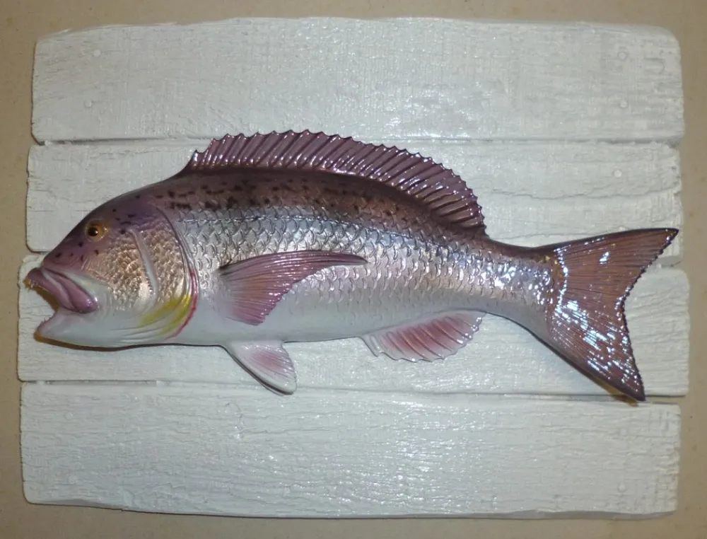 CAP VERT Sculpture Denti sur Cadre