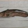 CAP VERT Art Aquatique & Sculptures|Art Aquatique & Sculptures^Sculpture Silure sur Cadre