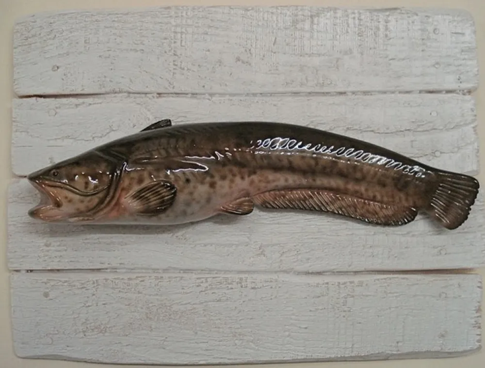 CAP VERT Art Aquatique & Sculptures|Art Aquatique & Sculptures^Sculpture Silure sur Cadre