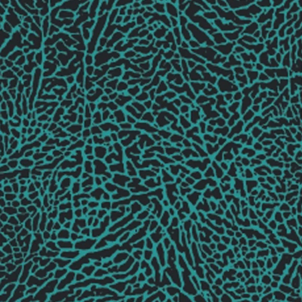 OCEAN STEP Shorty femme longe cote Dualzip Steamer 2/2mm Teal Elephant