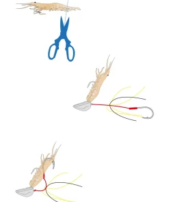 EXPLORER TACKLE Tenya Magic Shallow